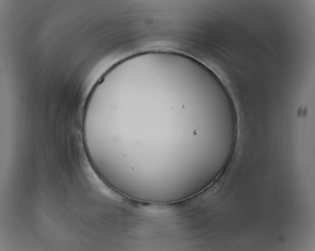 X0000111501392200907281241