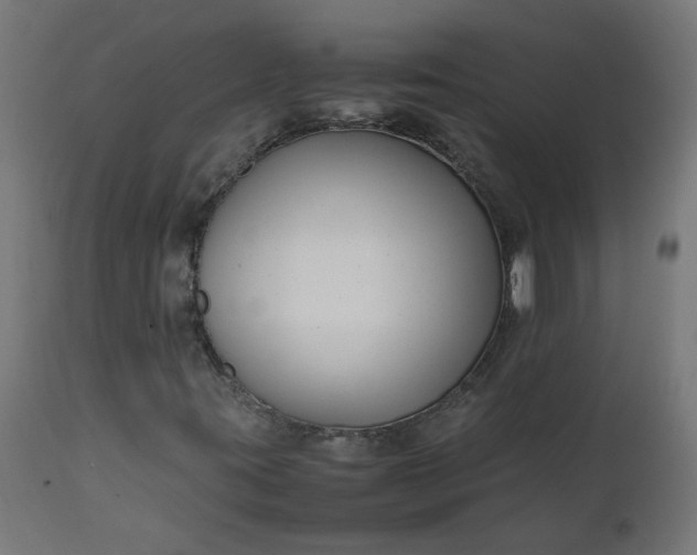 X0000111501395200907281240