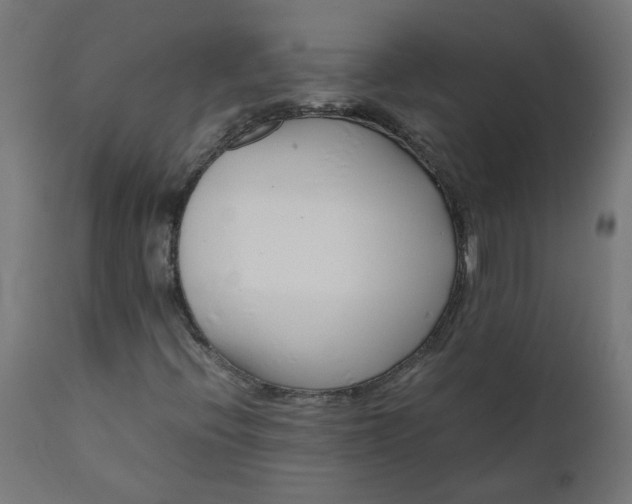 X0000111501396200907281240