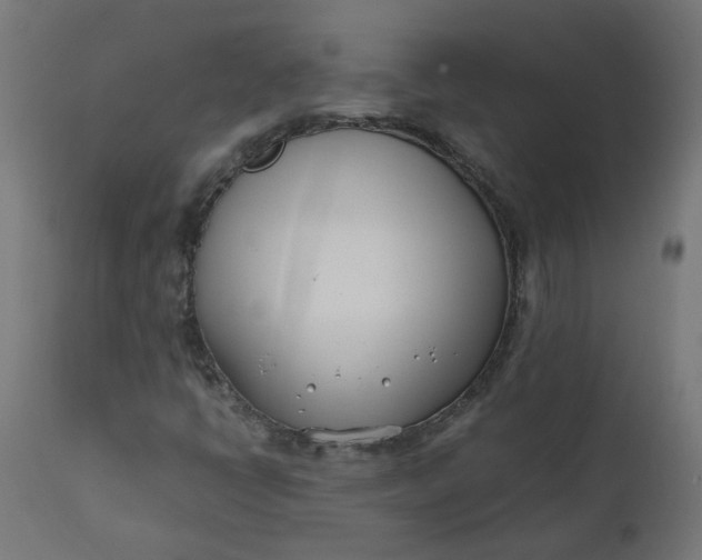 X0000111501398200907281240