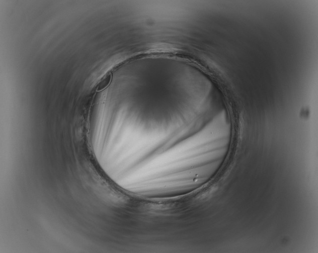 X0000111501401200907281240