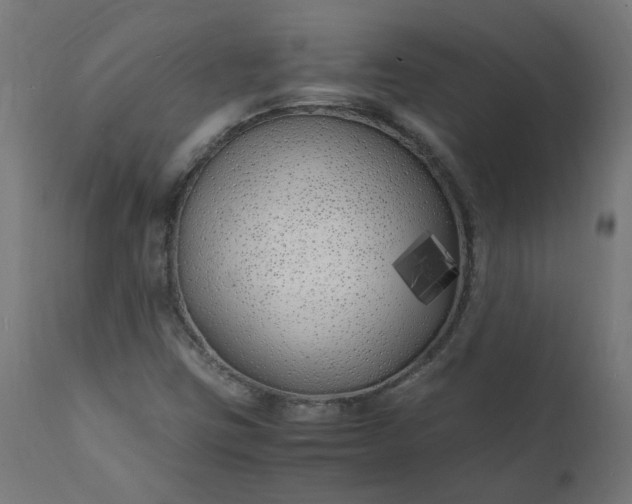 X0000111501403200907281240