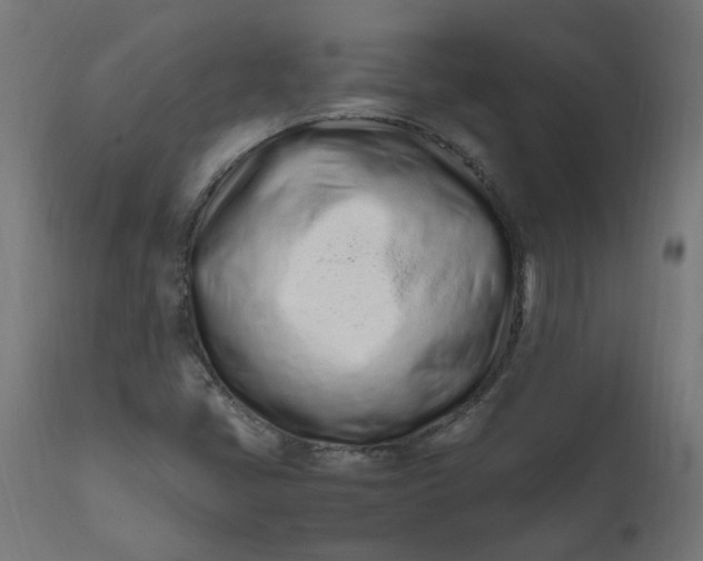 X0000111501405200907281240