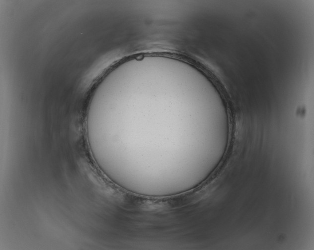 X0000111501407200907281240