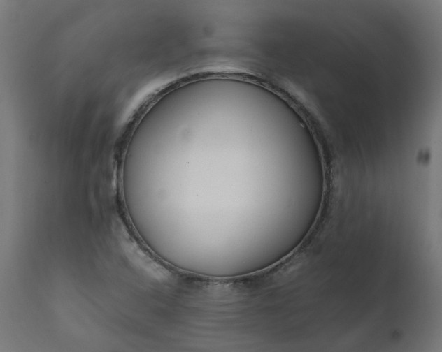 X0000111501408200907281240