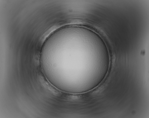 X0000111501409200907281240