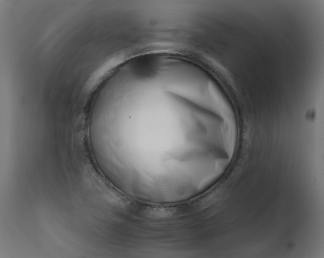 X0000111501411200907281240