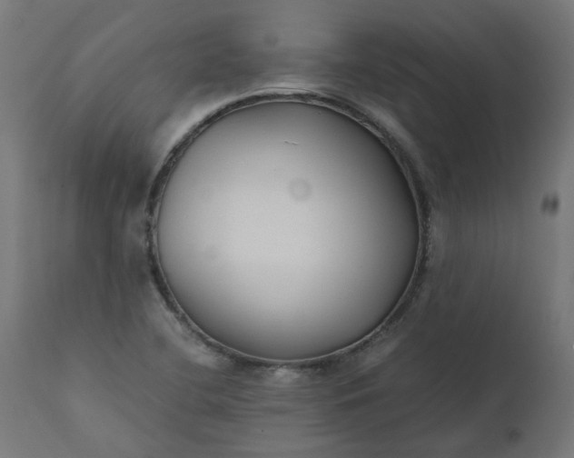 X0000111501412200907281241