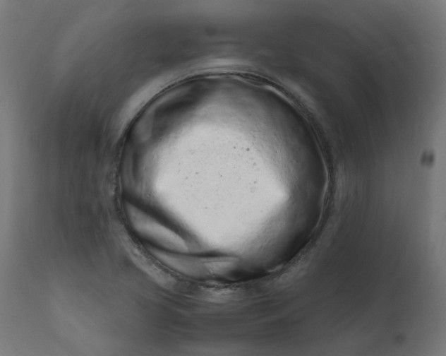 X0000111501413200907281241