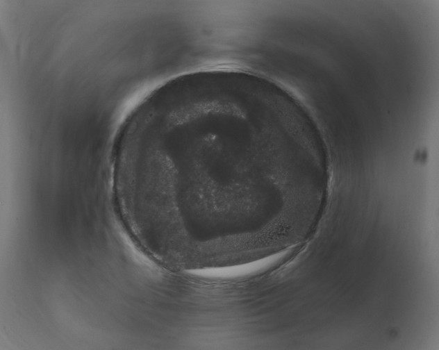 X0000111501414200907281241