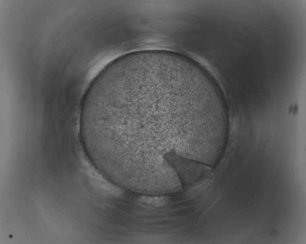 X0000111501415200907281241