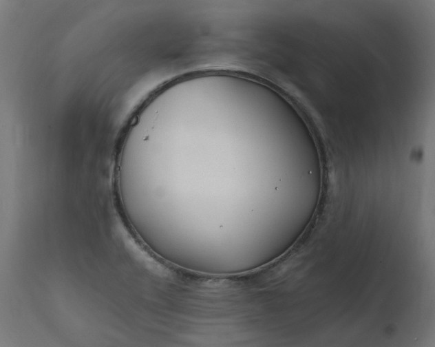 X0000111501416200907281241