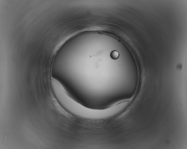 X0000111501417200907281241