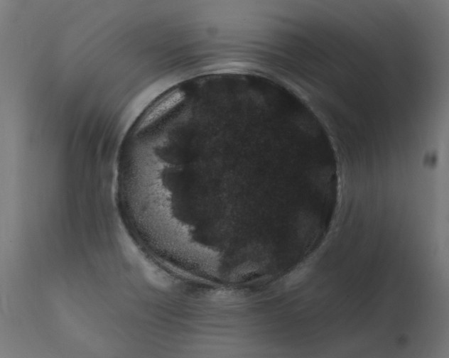 X0000111501418200907281241