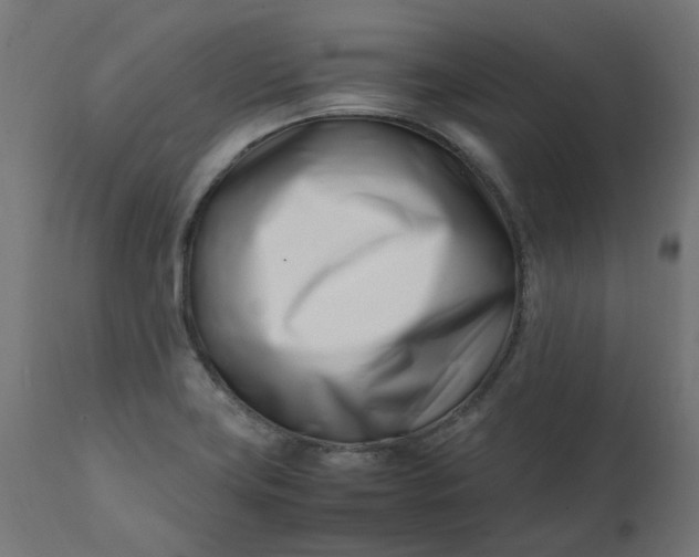 X0000111501419200907281241