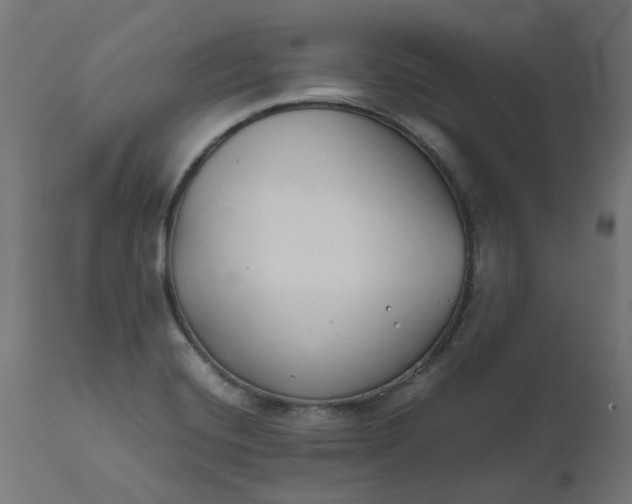 X0000111501420200907281241