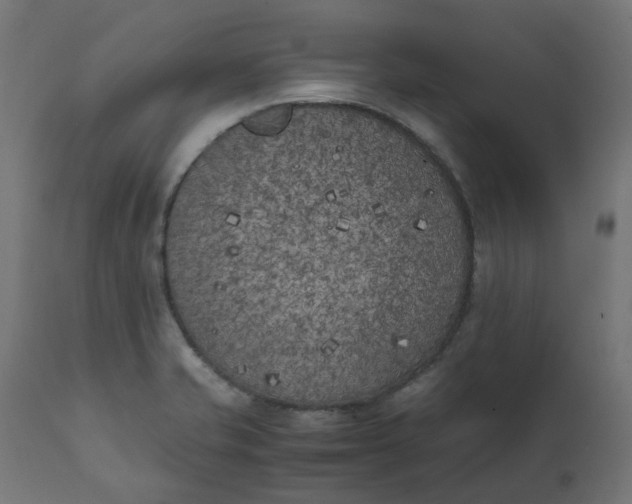 X0000111501421200907281241