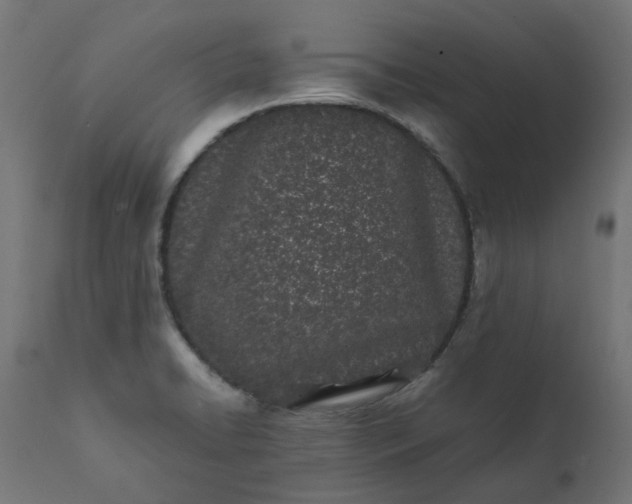 X0000111501422200907281241