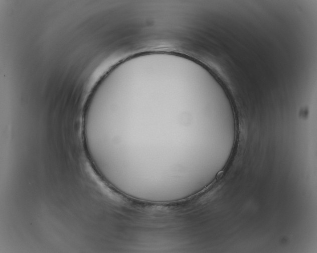 X0000111501424200907281241