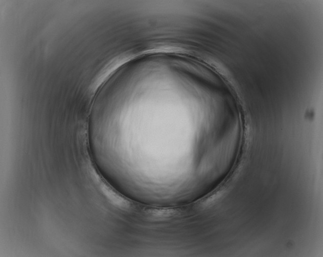 X0000111501425200907281241