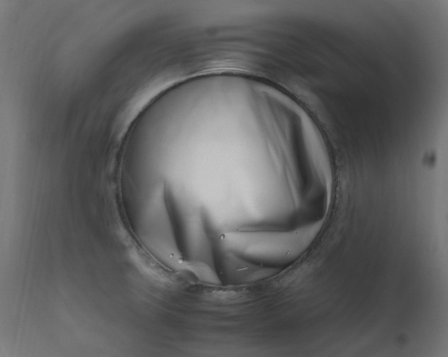 X0000111501427200907281241