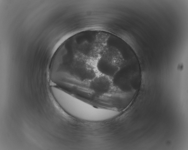 X0000111501428200907281241