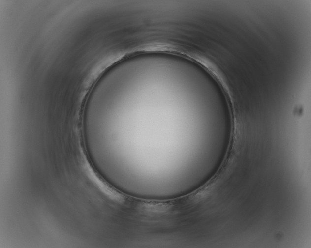 X0000111501429200907281241