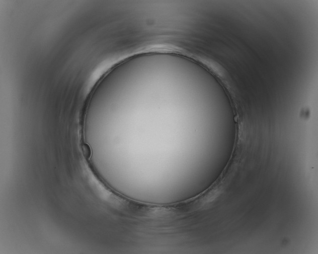 X0000111501430200907281241