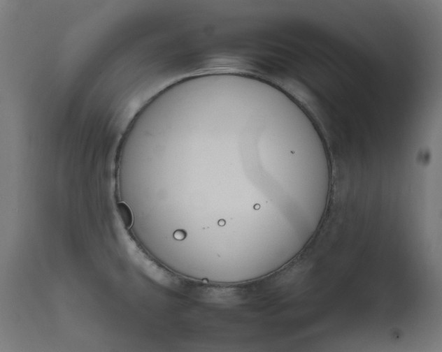 X0000111501431200907281241