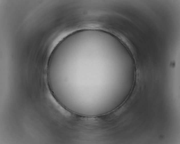 X0000111501432200907281241