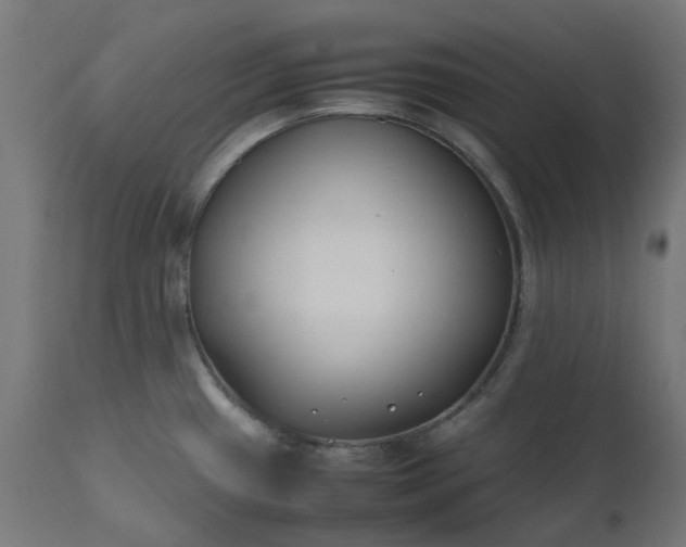 X0000111501433200907281241