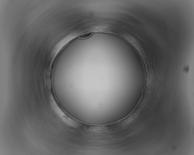 X0000111501434200907281241