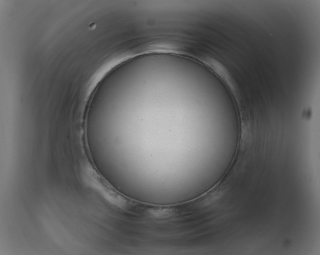 X0000111501435200907281241