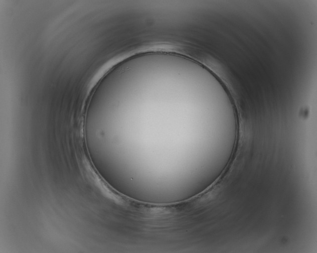 X0000111501436200907281241