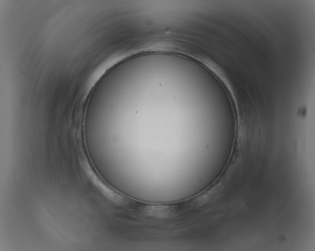 X0000111501437200907281241