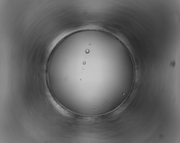 X0000111501438200907281241