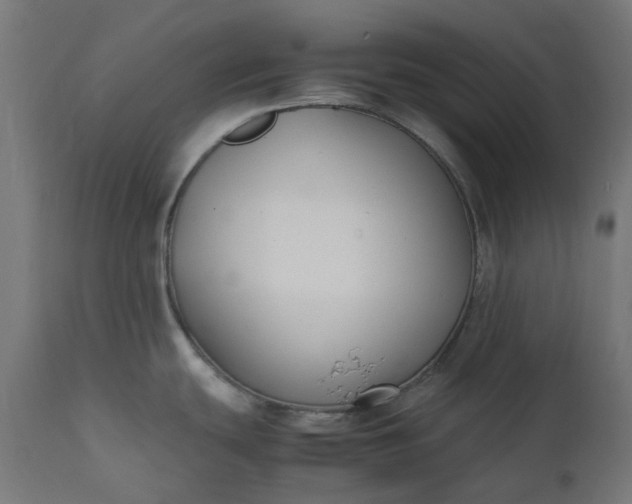 X0000111501439200907281241