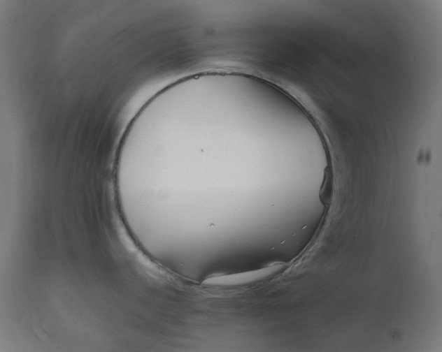 X0000111501440200907281241