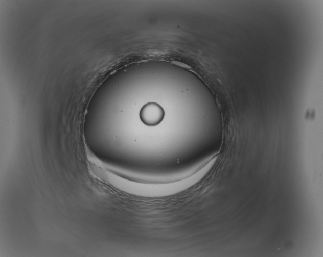 X0000111501441200907281240