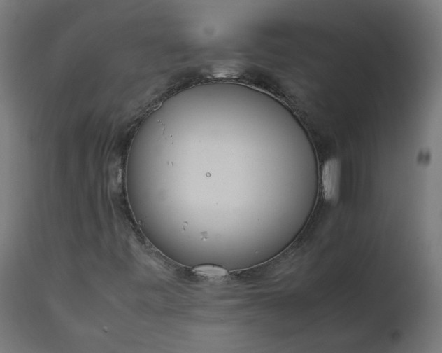 X0000111501443200907281240