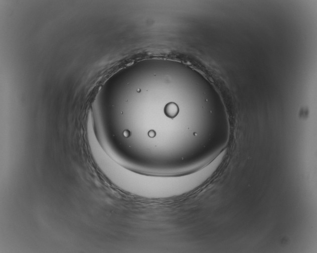 X0000111501445200907281240