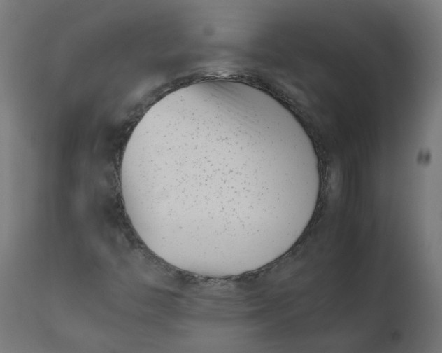 X0000111501446200907281240