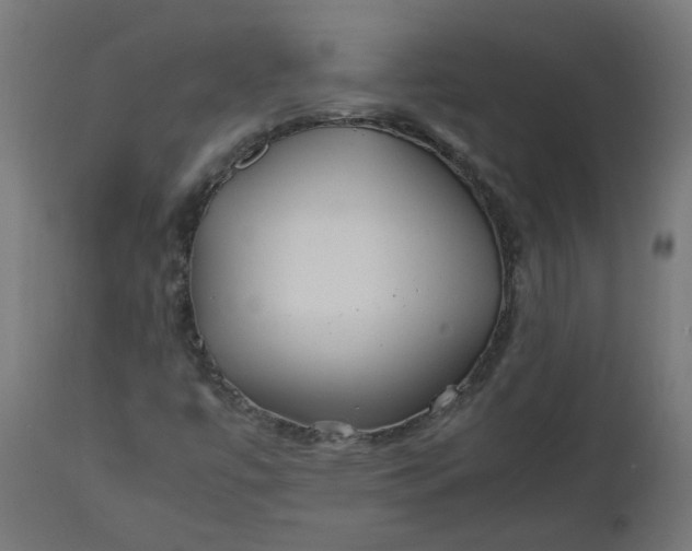 X0000111501447200907281240