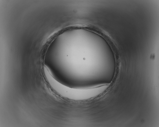 X0000111501448200907281240