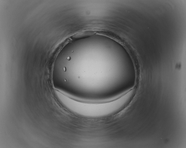 X0000111501449200907281240