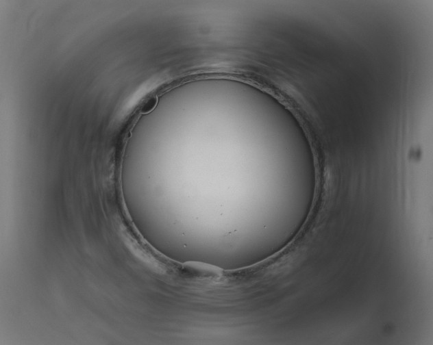 X0000111501450200907281240