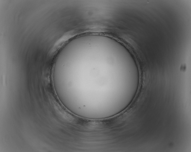 X0000111501451200907281240