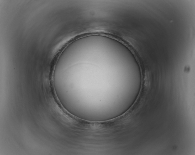 X0000111501452200907281240