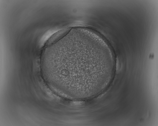 X0000111501453200907281240