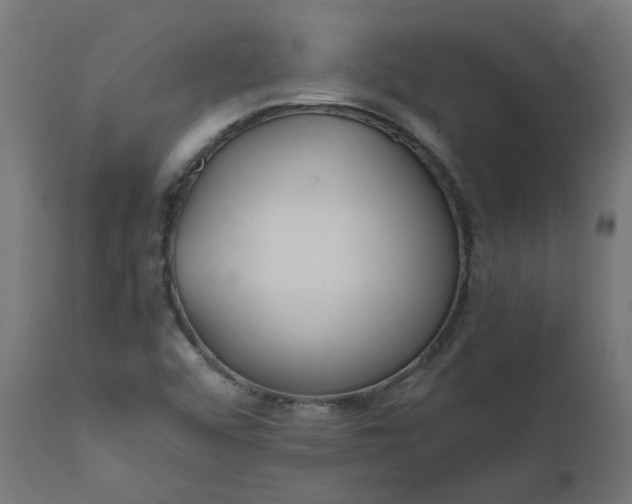 X0000111501456200907281240